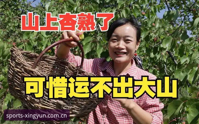 为什么杏运APP安卓版2026最新版本值得你立即更新？深度解析五大核心升级